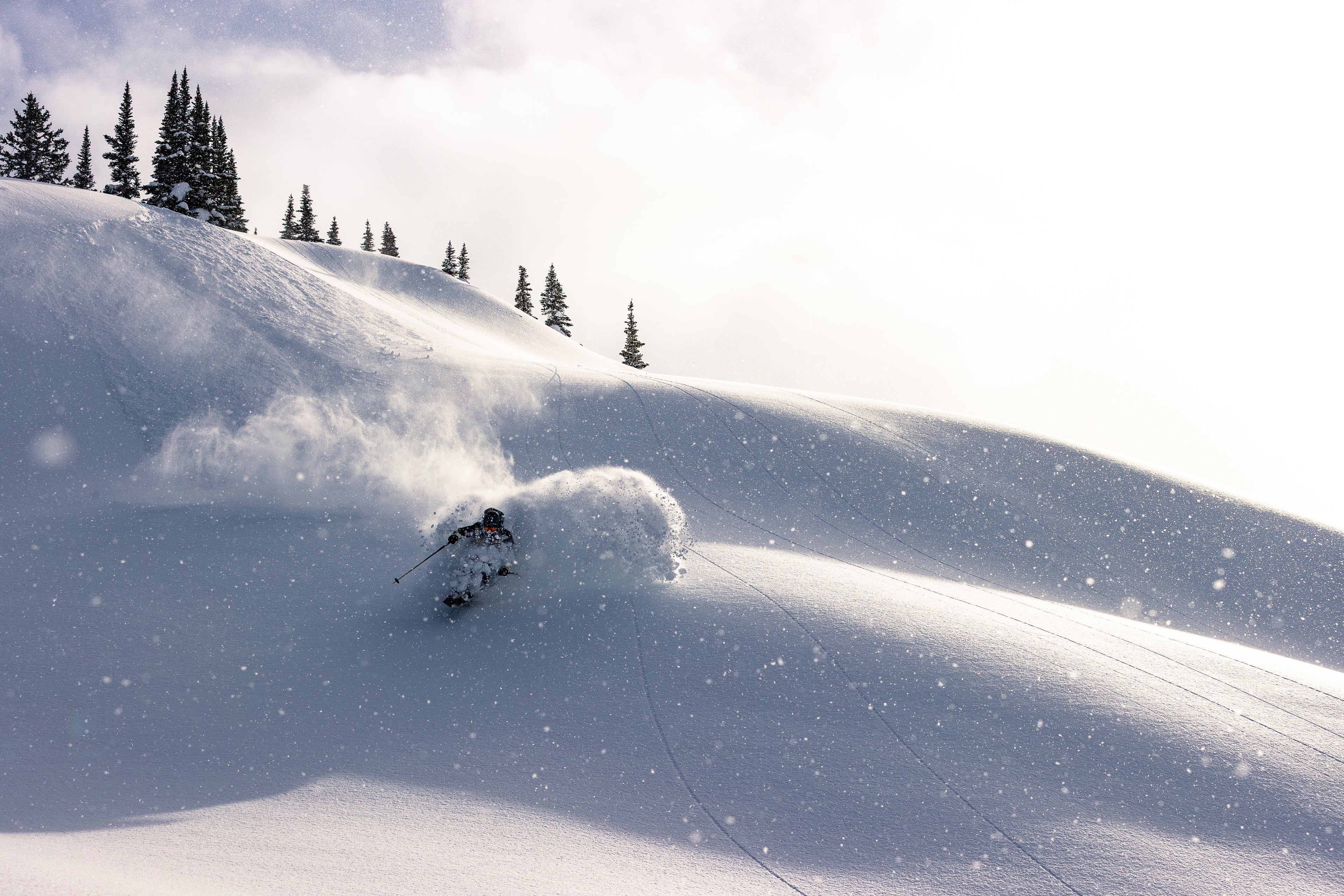 Skiier carving through deep snow on a mountain slope with trees in the background.